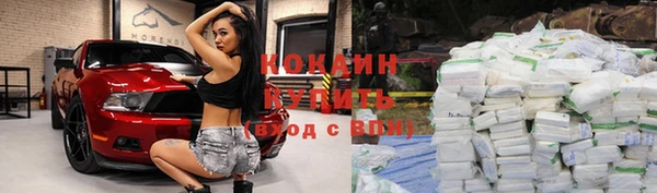 хмурый Гусь-Хрустальный