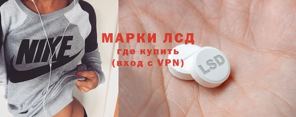 spice Гусев