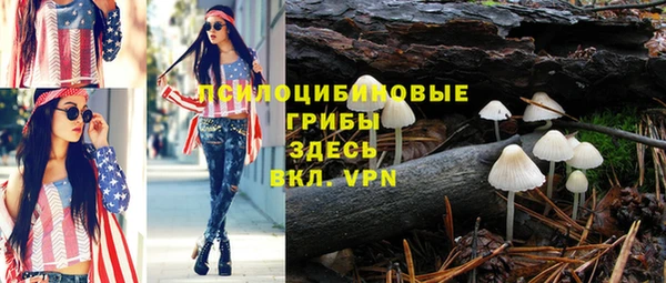 spice Гусев