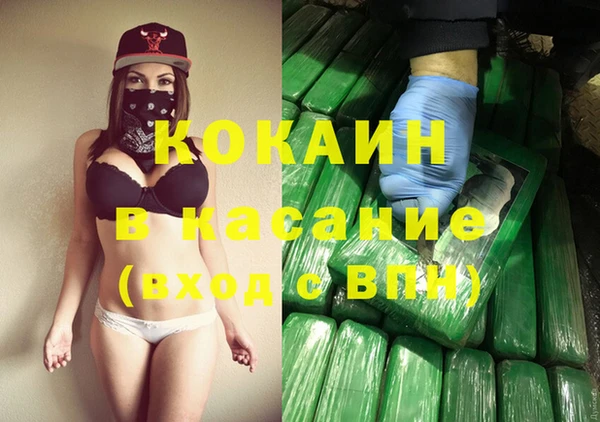 хмурый Гусь-Хрустальный