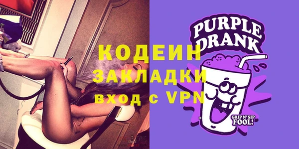 хмурый Гусь-Хрустальный