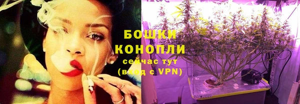 spice Гусев