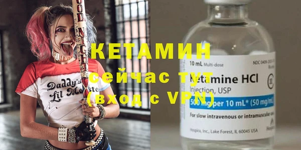 хмурый Гусь-Хрустальный