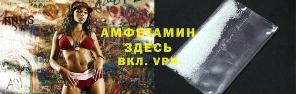 хмурый Гусь-Хрустальный