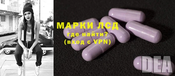 spice Гусев